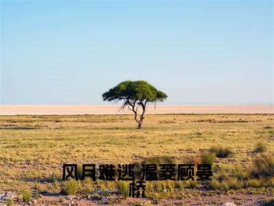  温菱顾晏桥（风月难逃）全文免费阅读无弹窗大结局_ 温菱顾晏桥风月难逃_笔趣阁