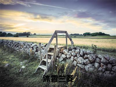 沐霄兰菱全文(兰菱沐霄)小说免费阅读无弹窗大结局_ 沐霄兰菱全文无弹窗完整版阅读