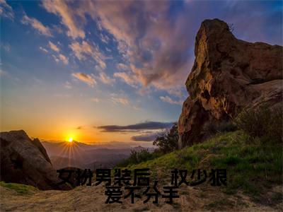女扮男装后，权少狠爱不分手（顾明烟厉云铮）小说小说全集 顾明烟厉云铮无删减在线阅读