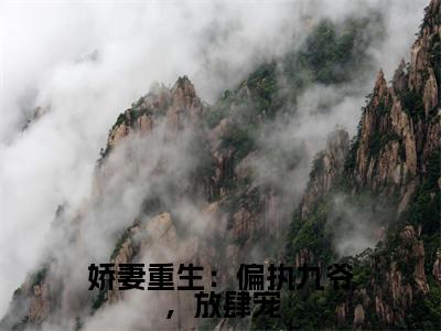 时晚席锦年(娇妻重生:偏执九爷,放肆宠)完整全文在线阅读_娇妻重生:偏执九爷,放肆宠小说全章节目录阅读(时晚席锦年)