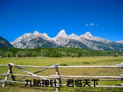 嬴焕九秘神针：君临天下小说全文免费阅读_九秘神针：君临天下（嬴焕）最新章节列表笔趣阁