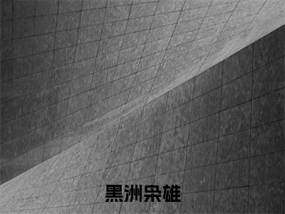 黑洲枭雄小说(陆航)全文免费阅读-黑洲枭雄全文阅读无弹窗