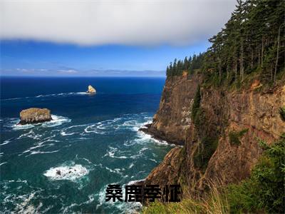 桑鹿季怔小说最新章节阅读-小说桑鹿季怔(季怔桑鹿)已完结小说精彩大结局