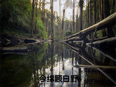 顾白野今绵（今绵顾白野）全文免费阅读_(今绵顾白野)顾白野今绵最新章节列表_笔趣阁