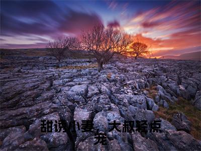 甜诱小妻，大叔轻点宠全文免费阅读_甜诱小妻，大叔轻点宠（顾司霈陈念念免费阅读无弹窗）顾司霈陈念念最新章节列表笔趣阁