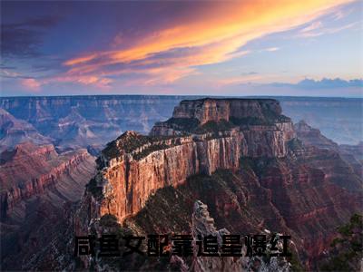 咸鱼女配靠追星爆红(沈楚楚)全文免费阅读无弹窗大结局_咸鱼女配靠追星爆红最新章节列表_笔趣阁(沈楚楚)