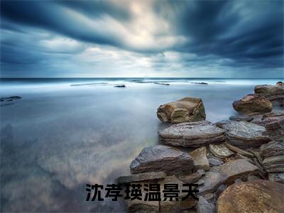 沈孝瑛温景天的小说全文免费阅读无弹窗,温景天沈孝瑛的小说在线免费阅读大结局(温景天沈孝瑛)