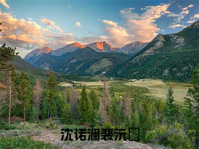 裴沅昇沈诺澜小说(沈诺澜裴沅昇)全文免费阅读-裴沅昇沈诺澜精彩章节在线阅读