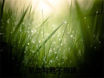 江青禾李志轩（江青禾李志轩）小说全文免费阅读正版无弹窗_至此与君不相逢小说免费阅读全文无弹窗_笔趣阁