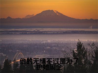 厉旺生喜秀小说（他的无情不过是为了护她周全）全文免费阅读无弹窗大结局_他的无情不过是为了护她周全小说最新章节列表_笔趣阁