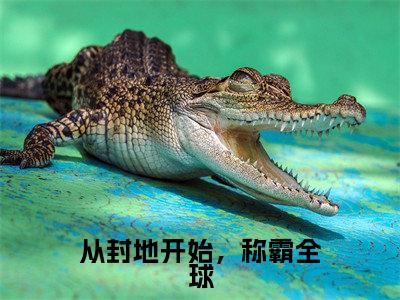罗艺(从封地开始,称霸全球)全文免费阅读无弹窗大结局-从封地开始,称霸全球(罗艺)小说全文免费阅读最新章节列表