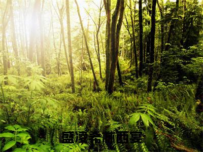 林西宴盛凌希全文阅读-盛凌希林西宴小说免费阅读-笔趣阁