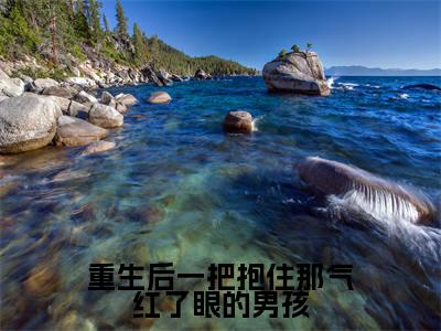重生后一把抱住那气红了眼的男孩新书热荐免费小说陆离贺斯年全文完整版-陆离贺斯年知乎小说