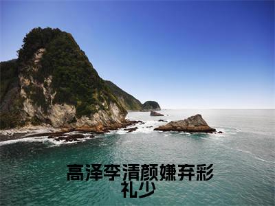  高泽李清颜小说免费阅读-嫌弃彩礼少，我和豪门千金结婚完整版全文大结局