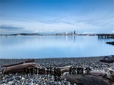 小说《从封地开始,称霸全球》全文免费阅读无弹窗-从封地开始,称霸全球(罗艺)小说全文在线赏析_笔趣阁