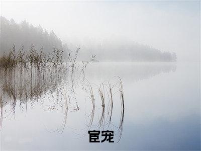 裴徊光小说免费阅读(宦宠)全文免费阅读无弹窗大结局_裴徊光小说免费阅读最新章节列表_笔趣阁(宦宠)