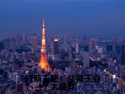  林霜儿夜北承（软萌王妃：战神王爷太能宠）全文免费阅读无弹窗大结局_ 林霜儿夜北承软萌王妃：战神王爷太能宠_笔趣阁