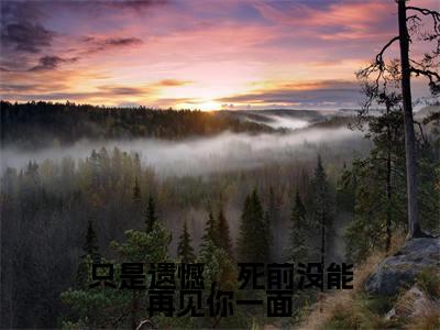 只是遗憾,死前没能再见你一面全文免费阅读无弹窗大结局(谢雪薇周云谏)_只是遗憾,死前没能再见你一面最新章节列表_笔趣阁(谢雪薇周云谏)