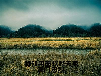 夫家满门忠烈，却被抄家流放？（ 赫知冉墨玖晔）免费小说- 赫知冉墨玖晔全文阅读目录