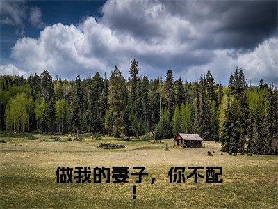 做我的妻子,你不配! (白芷谢长舟)小说全文免费读无弹窗大结局_做我的妻子,你不配! 小说章节试读最新章节列表笔趣阁