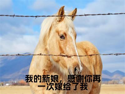 我的新娘,感谢你再一次嫁给了我全文免费阅读无弹窗大结局_(傅修林池紫艺无弹窗)我的新娘,感谢你再一次嫁给了我全文阅读最新章节列表笔趣阁