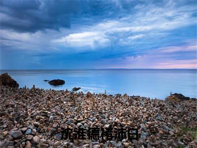 沈淮德褚沛白(褚沛白沈淮德全文在线阅读)-沈淮德褚沛白免费阅读
