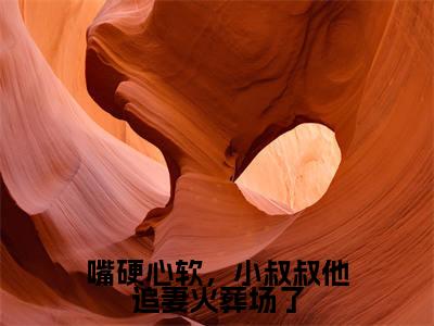 霍行止陆苒(嘴硬心软,小叔叔他追妻火葬场了)独家首发免费小说-(霍行止陆苒)嘴硬心软,小叔叔他追妻火葬场了小说全文在线阅读笔趣阁