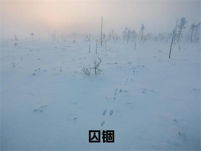 囚锢(温念陆瑾之)抖音热推小说全集无删减,温念陆瑾之小说在线免费阅读大结局