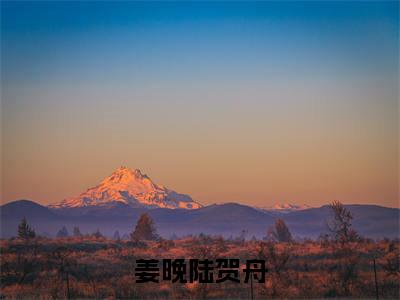 陆贺舟姜晚(姜晚陆贺舟)全文免费阅读无弹窗大结局_姜晚陆贺舟最新章节列表_笔趣阁