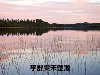 宋楚源李舒雯小说全文免费阅读-李舒雯宋楚源在线阅读的小说完整版