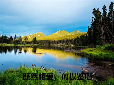 既然相爱，何以鉴心（谢亭深沈安然）全文免费在线阅读_既然相爱，何以鉴心全文免费阅读无弹窗大结局