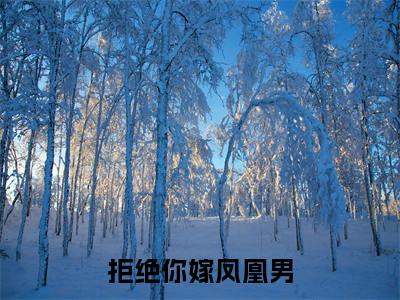 拒绝你嫁凤凰男，你管这叫恶人？小说讲的是什么- 阮云罗尹筱柔精彩章节目录观看