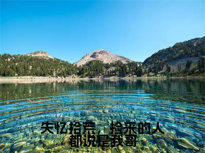 失忆拾荒，捡来的人都说是我哥全文免费阅读大结局 月玥最新章节列表
