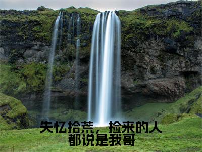 失忆拾荒,捡来的人都说是我哥(月玥)全文免费阅读_失忆拾荒,捡来的人都说是我哥全文阅读_笔趣阁(月玥)