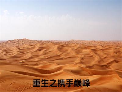 沈沐风(重生之携手巅峰)全文免费阅读_重生之携手巅峰最新章节小说免费阅读_笔趣阁沈沐风