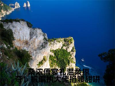  桑浓傅宴礼在线阅读（温柔掠夺！被偏执大佬掐腰甜哄小说）全文免费阅读无弹窗大结局_温柔掠夺！被偏执大佬掐腰甜哄免费最新章节列表_笔趣阁（ 桑浓傅宴礼小说）