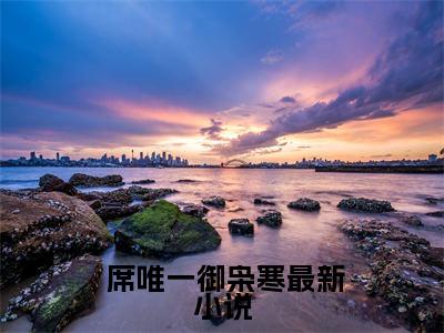 重生后，小撩精日日哄他吻他诱他（ 席唯一御枭寒全章节完整版）免费阅读_（重生后，小撩精日日哄他吻他诱他） 席唯一御枭寒全文无删减免费阅读（重生后，小撩精日日哄他吻他诱他）