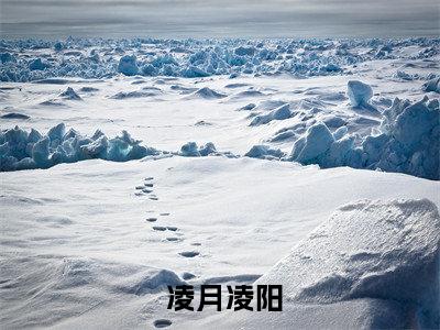 (热推新书)美文摘抄（甜宠：我的粘人小狼狗）主人公为（ 凌月凌阳）的小说 甜宠：我的粘人小狼狗大结局全文免费阅读_笔趣阁