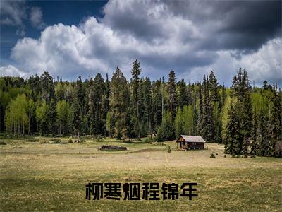 程锦年柳寒烟小说全文-柳寒烟程锦年精选小说程锦年柳寒烟大结局阅读