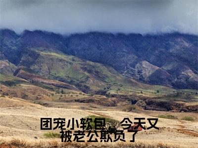 傅清宴初洛洛(傅清宴初洛洛)全文免费阅读无弹窗大结局_团宠小软包,今天又被老公欺负了最新章节列表_笔趣阁