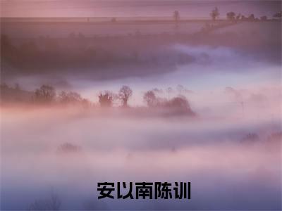 重生七零，禁欲兵哥夜夜宠小说（ 安以南陈训）精彩章节- 安以南陈训全文免费在线阅读