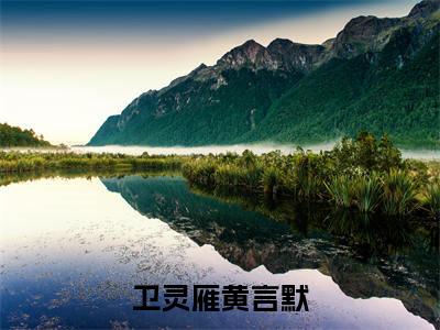 小说卫灵雁黄言默完整版在线阅读 黄言默卫灵雁精选小说推荐试读