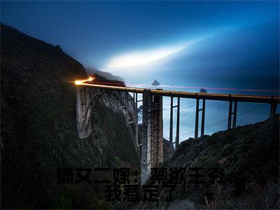 【新书】《褚阮云淮之》嫡女二嫁:禁欲王爷我惹定了全文全章节免费阅读