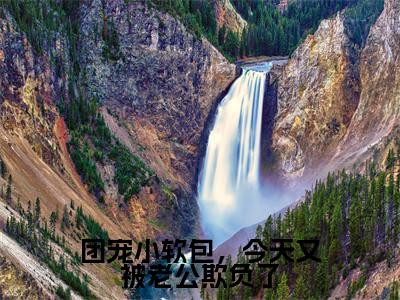 傅清宴初洛洛（傅清宴初洛洛）全文免费阅读无弹窗大结局_团宠小软包，今天又被老公欺负了:傅清宴初洛洛最新章节列表_笔趣阁（傅清宴初洛洛）
