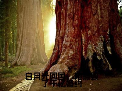 白月光回国，她撕毁了千亿婚约（韩奚沈季珩）全文免费阅读无弹窗大结局_白月光回国，她撕毁了千亿婚约全文免费阅读最新章节列表_笔趣阁