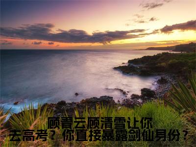 让你去高考？你直接暴露剑仙身份？全文最新章节（ 顾青云顾清雪）全文免费阅读无弹窗大结局_ 顾青云顾清雪免费阅读（让你去高考？你直接暴露剑仙身份？全文）