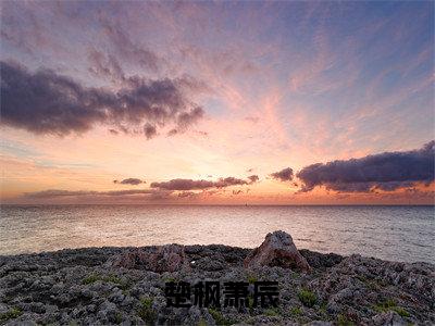 收徒就变强？我的功法全靠编（ 楚枫萧辰）知乎小说无删减版免费阅读- 楚枫萧辰精彩章节推荐阅读