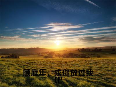 顾庭年,求你放过我吧(姜橙顾庭年)全文免费阅读无弹窗大结局_顾庭年,求你放过我吧小说(姜橙顾庭年)最新章节列表(顾庭年,求你放过我吧)