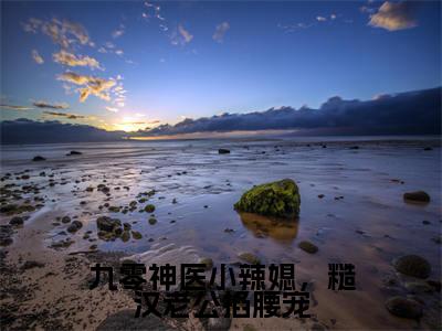 九零神医小辣媳，糙汉老公掐腰宠小说全文免费阅读 （宋亦晴）免费阅读全文免费阅读无弹窗大结局