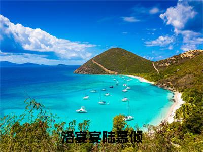 陆慕倾洛宴宴(洛宴宴陆慕倾)全文免费阅读无弹窗大结局_(洛宴宴陆慕倾)陆慕倾洛宴宴最新章节列表笔趣阁